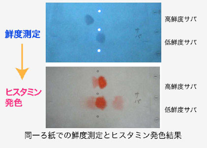 鮮度チェッカーでヒスタミンも同時測定できます